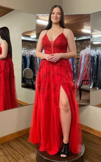 2025 Long Red Floral Prom Dresses Cheap Plunging V Neck Appliques